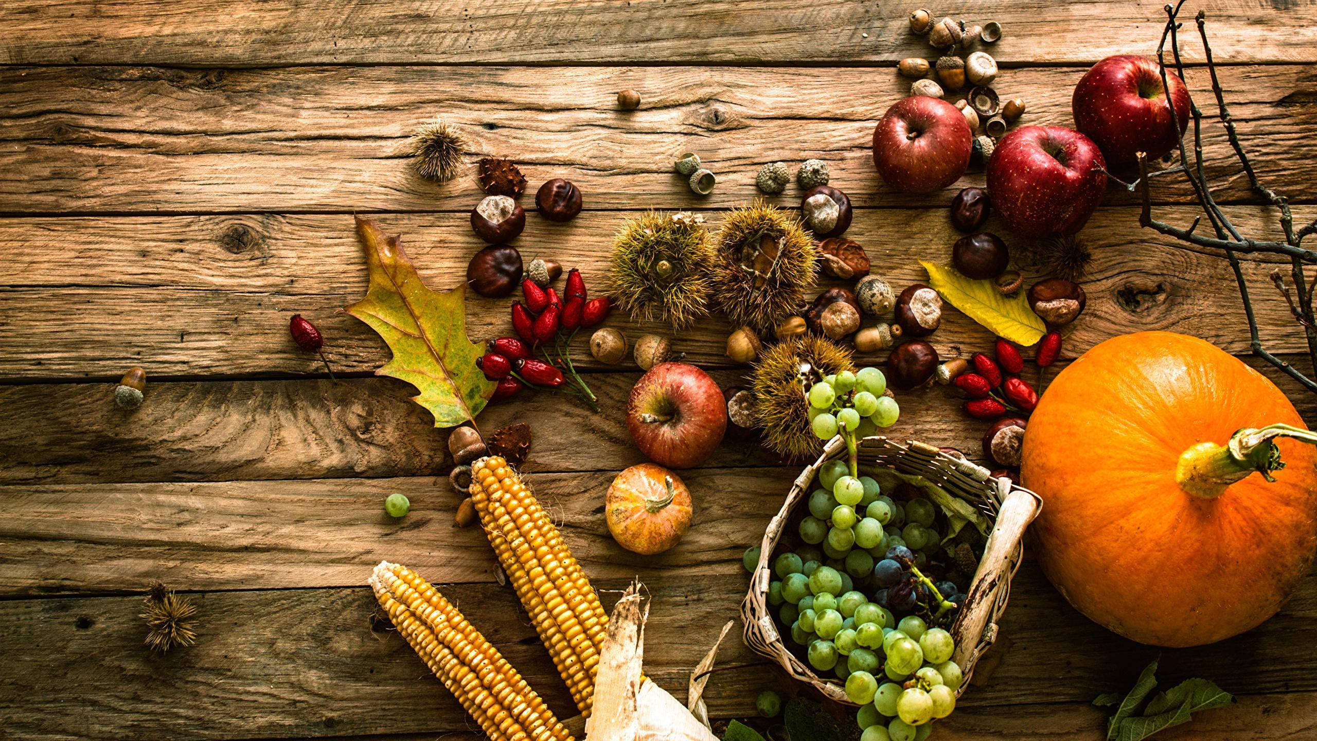 Pumpkins And Basket Wallpapers - Wallpaper Cave