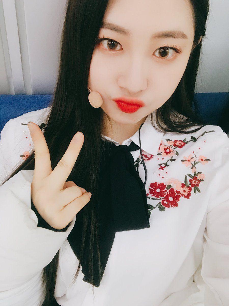 ♡Momoland wallpaper♡