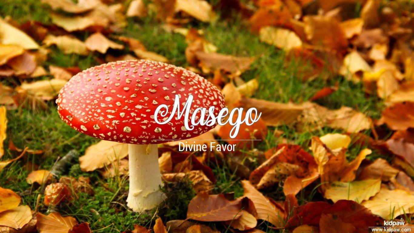 Masego 3D Name Wallpaper for Mobile, Write Name on Photo Online