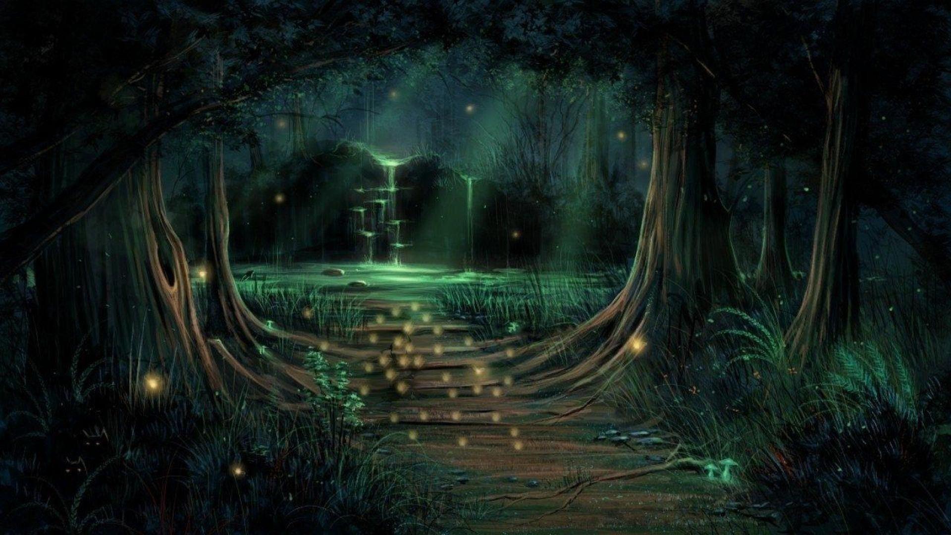 55+ Fairy Forest at Night Wallpapers.