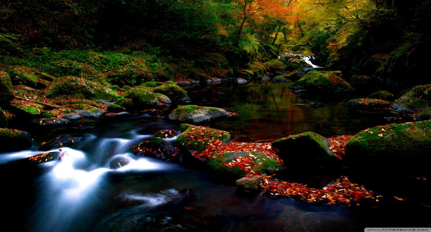 Beautiful Autumn Forest River Wallpaper Desktop. Wallpaper