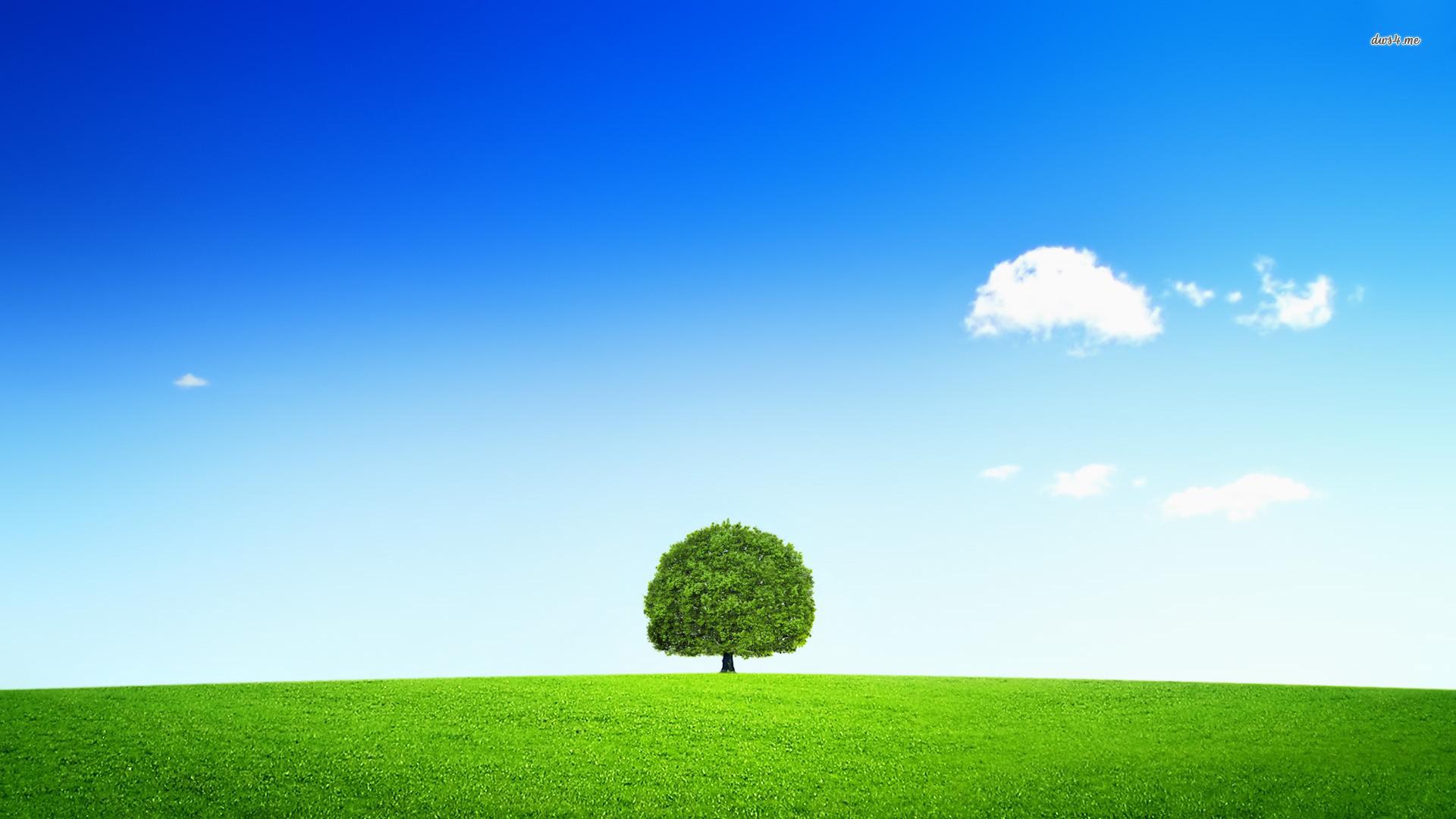 Lonely Tree Wallpaper Background