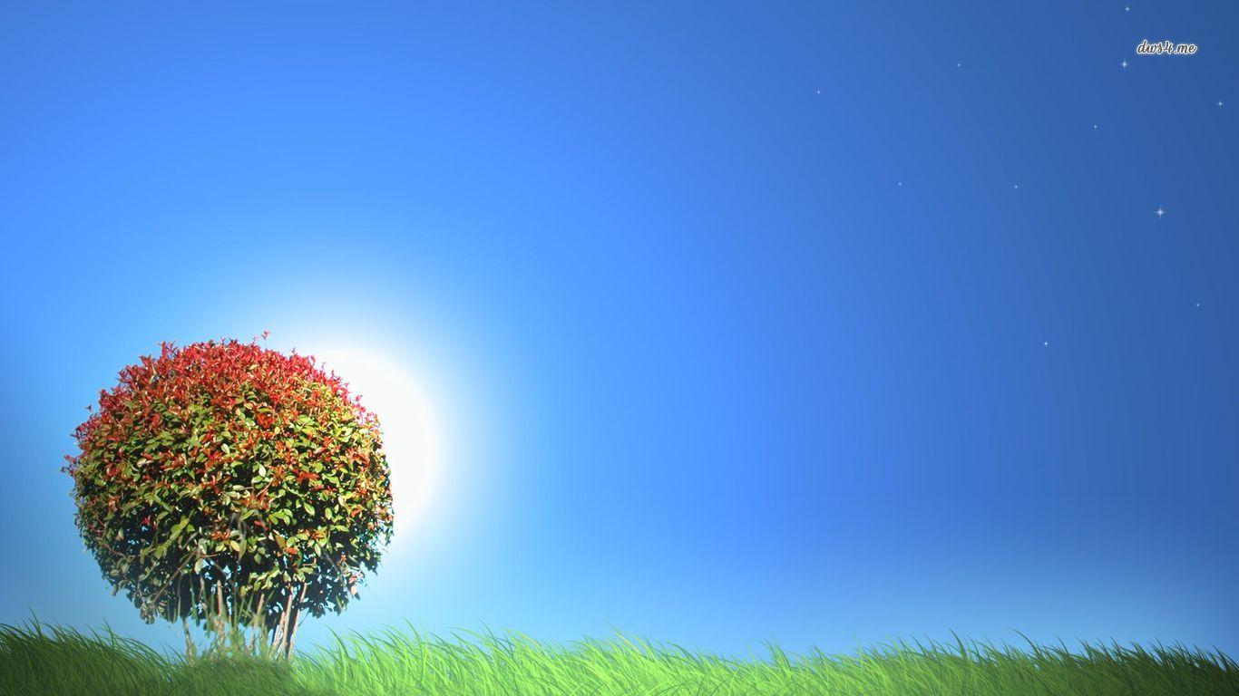 Round lonely tree wallpaper wallpaper