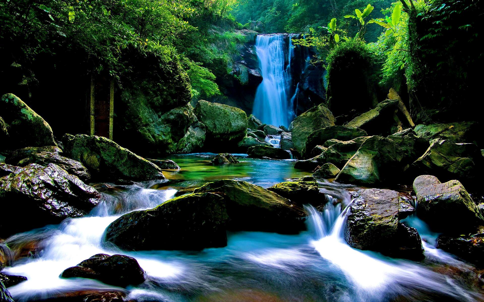 Forest Waterfall Wallpapers