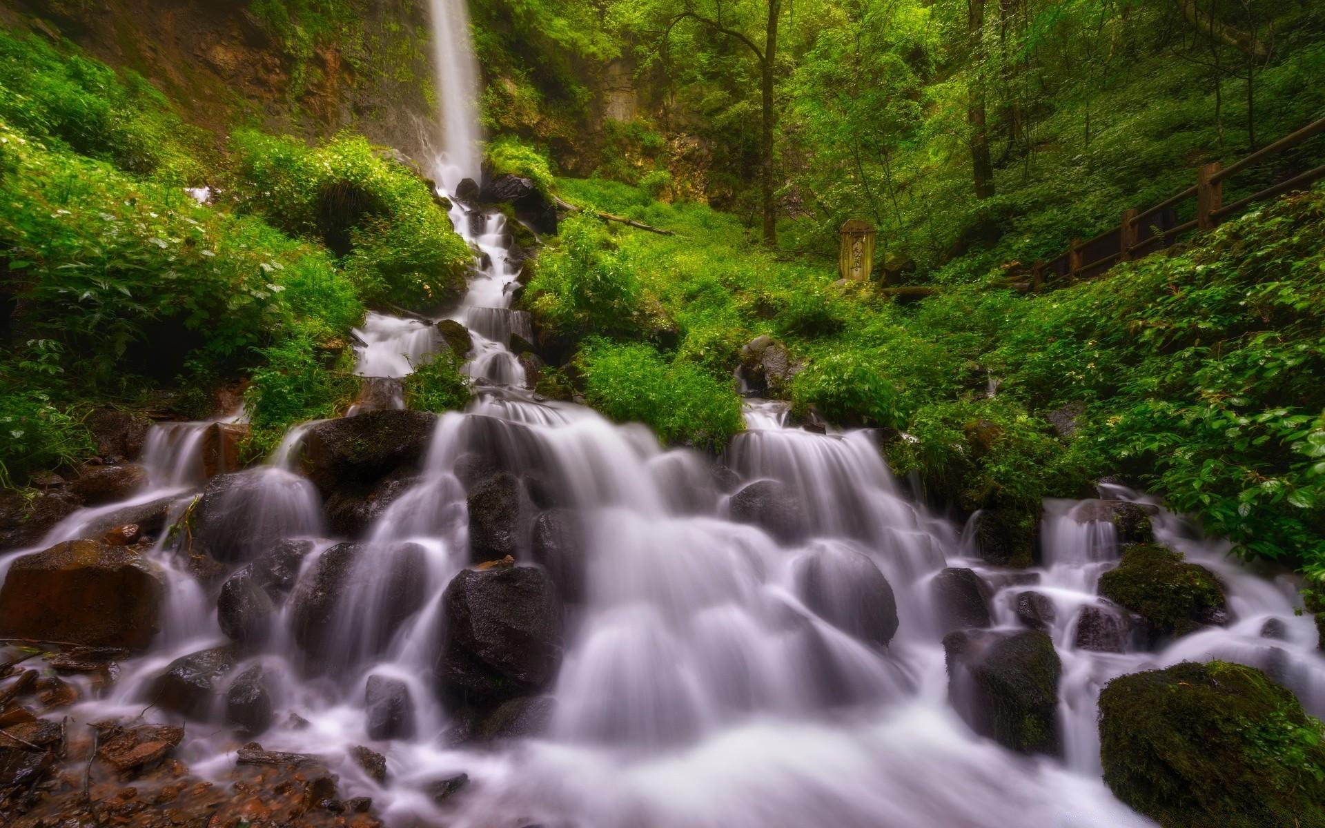 Forest Waterfall, Summer