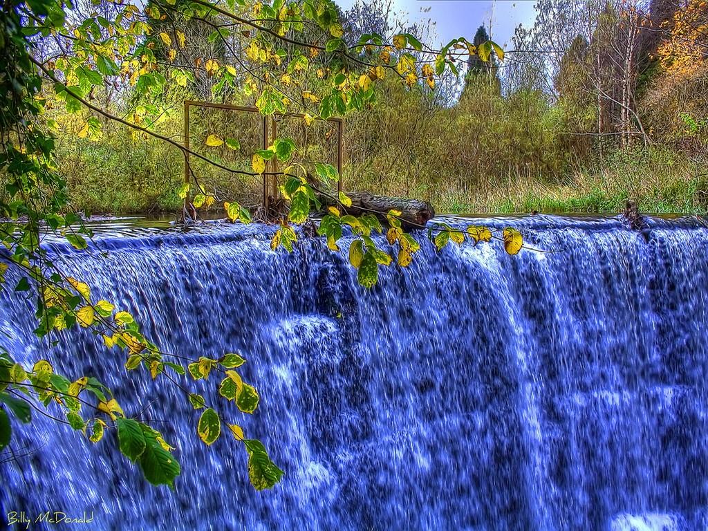 Stream Tag wallpaper: Blue Water Stream Autumn Forest Summer