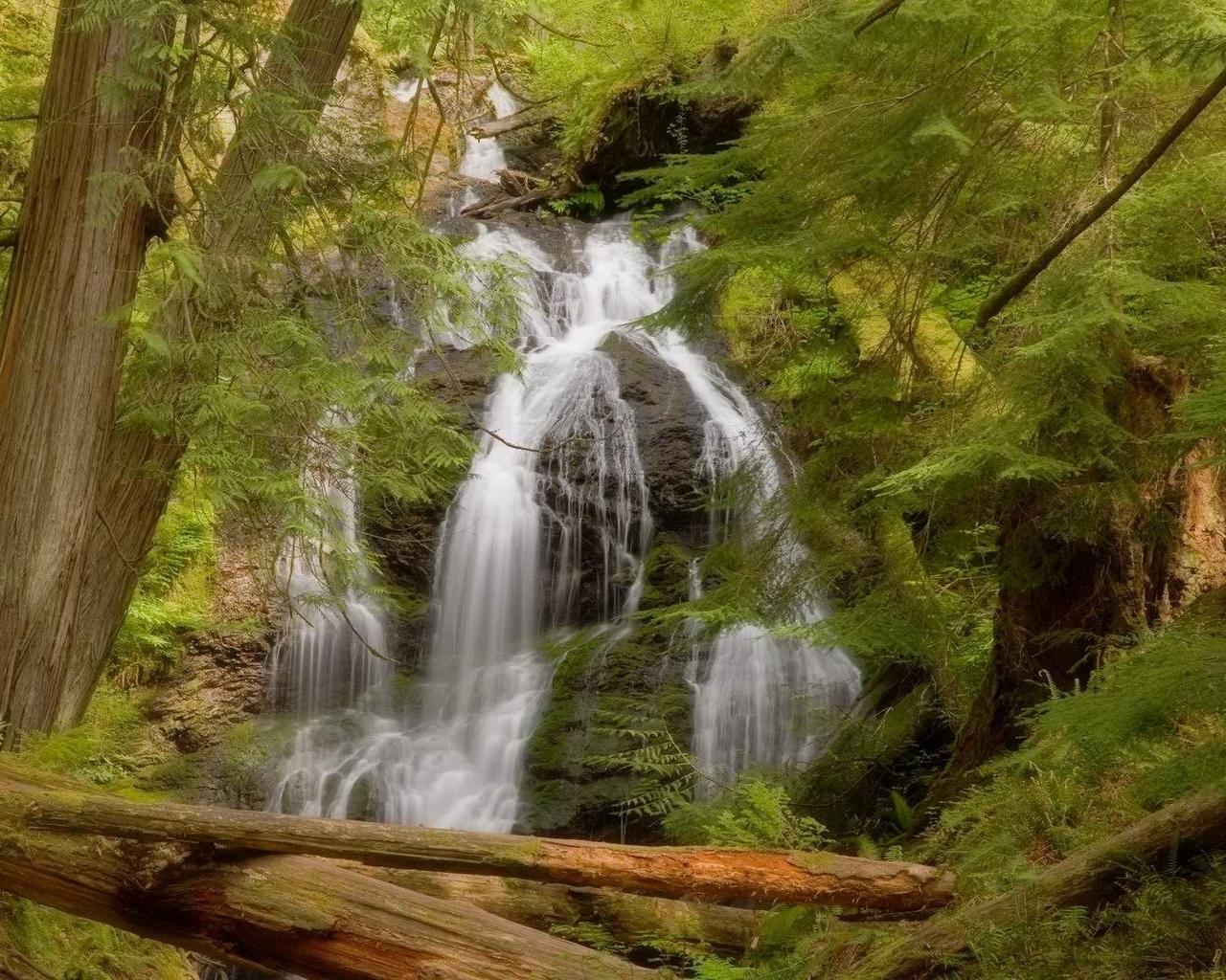 Download wallpaper 1280x1024 waterfall, trees, summer standard 5:4