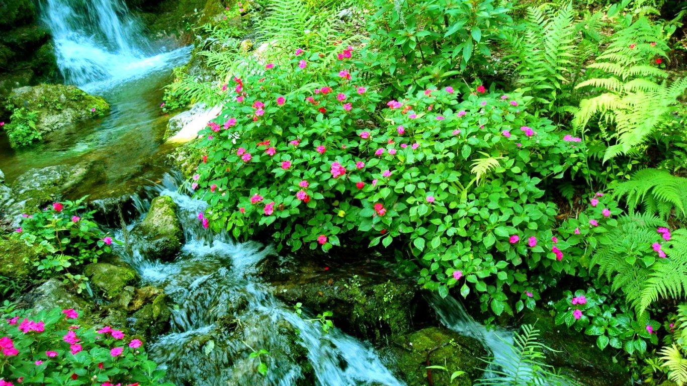 Waterfalls Nature Leaves Green Flowers Freshness Beautiful Pretty