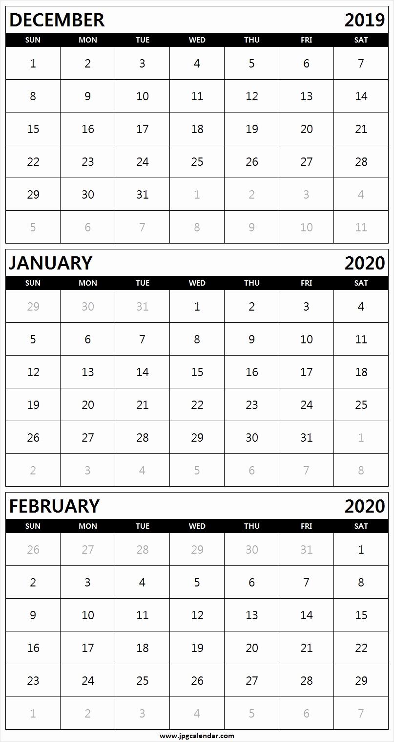 December January February 2020 Calendar Printable Free Download