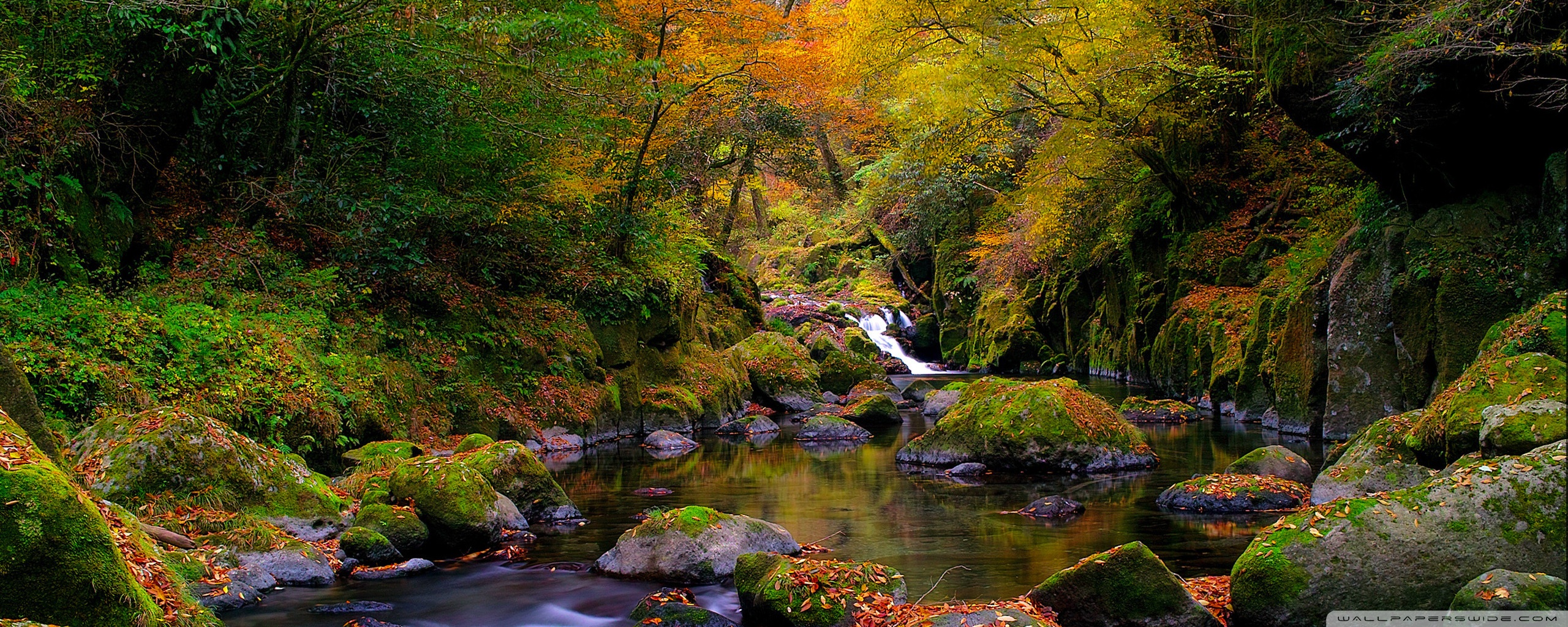 Forest Creek, Autumn ❤ 4K HD Desktop Wallpaper for 4K Ultra