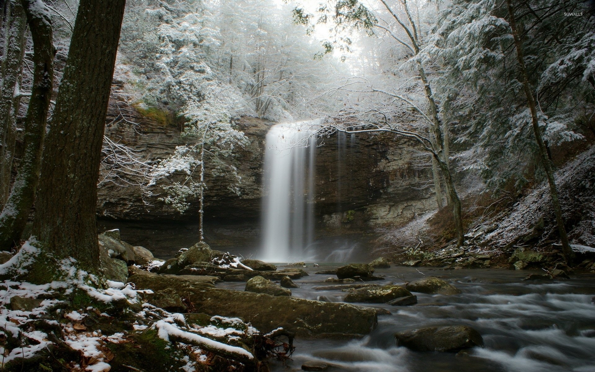 Windows 10 over the forest creek white text logo wallpaper