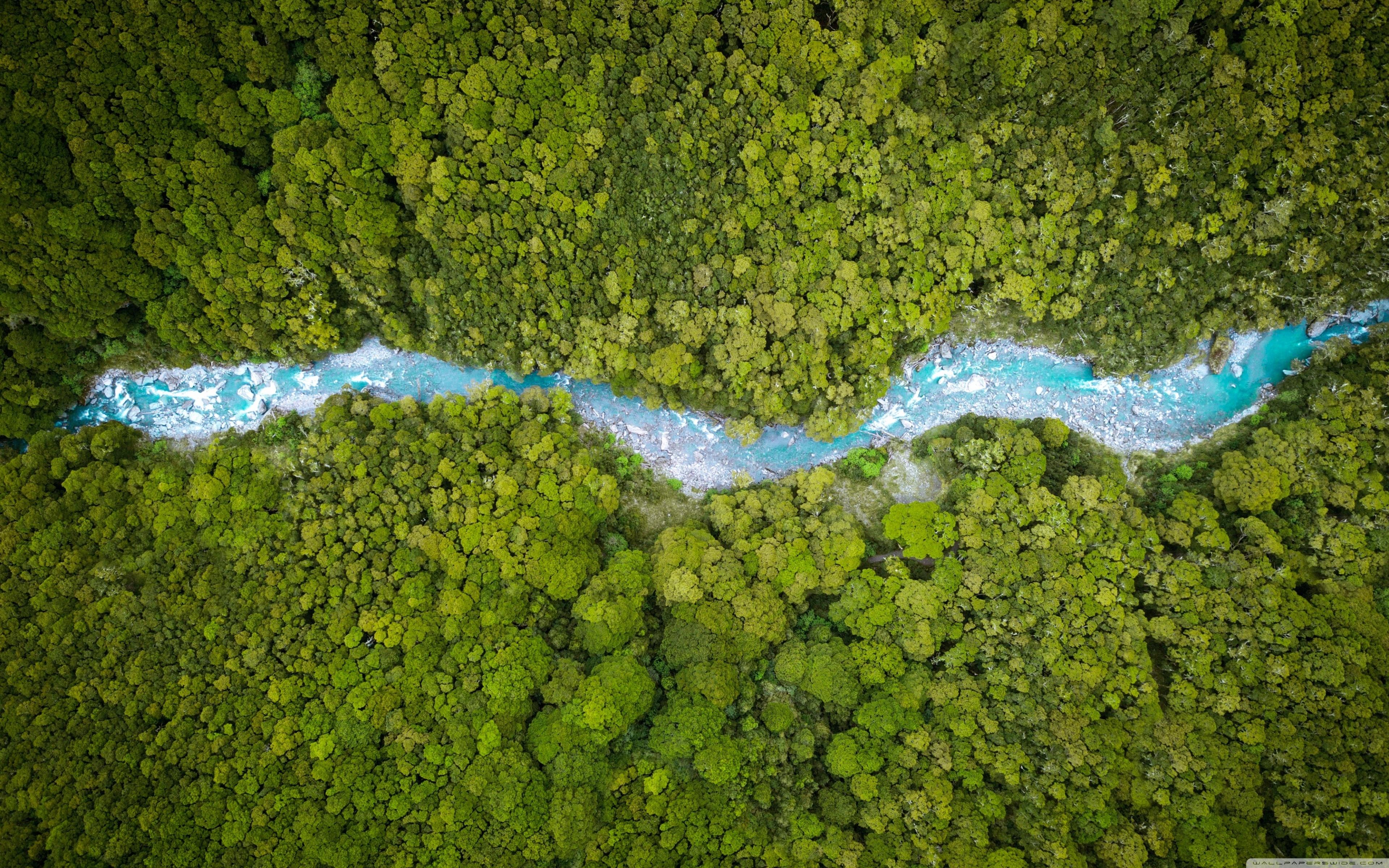 Aerial View, Forest Creek, Summer, Nature ❤ 4K HD Desktop