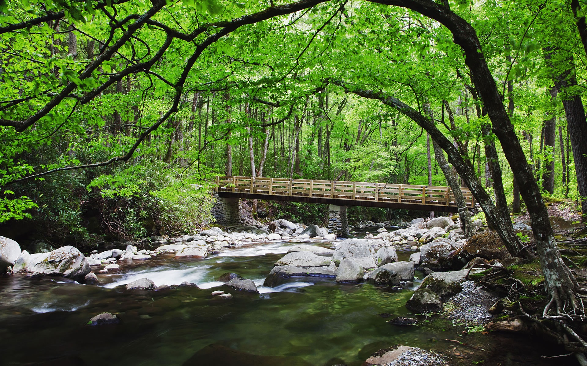 Wallpaper Forest, creek, stones, bridge, nature 1920x1200 HD