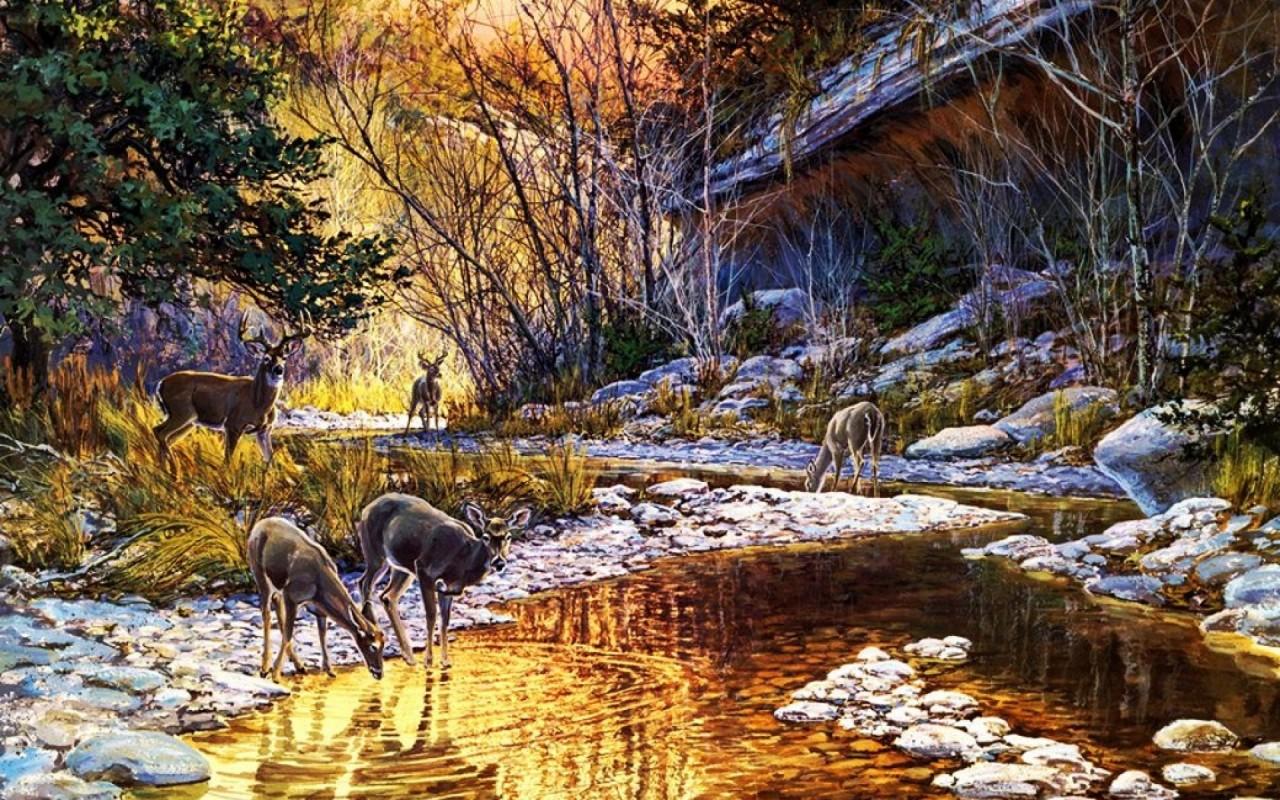 Forest Creek Deers Rocks House wallpaper. Forest Creek