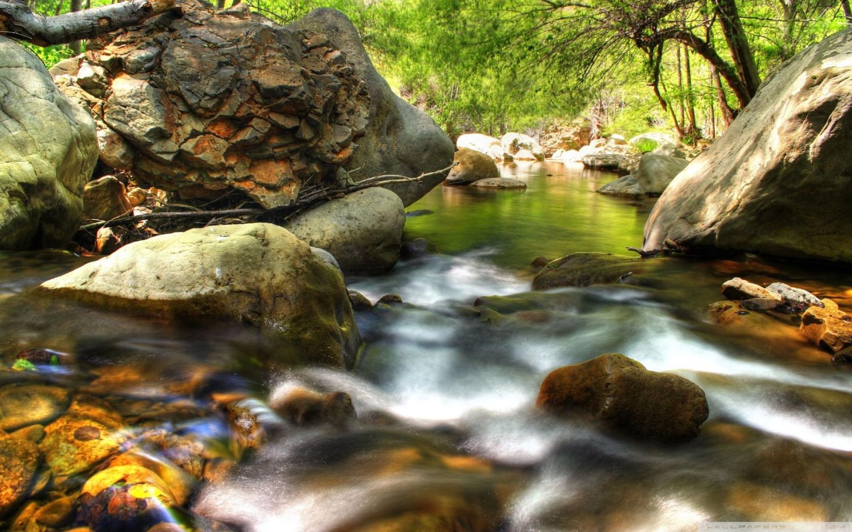 Download Forest Creek HDR HD Wallpaper