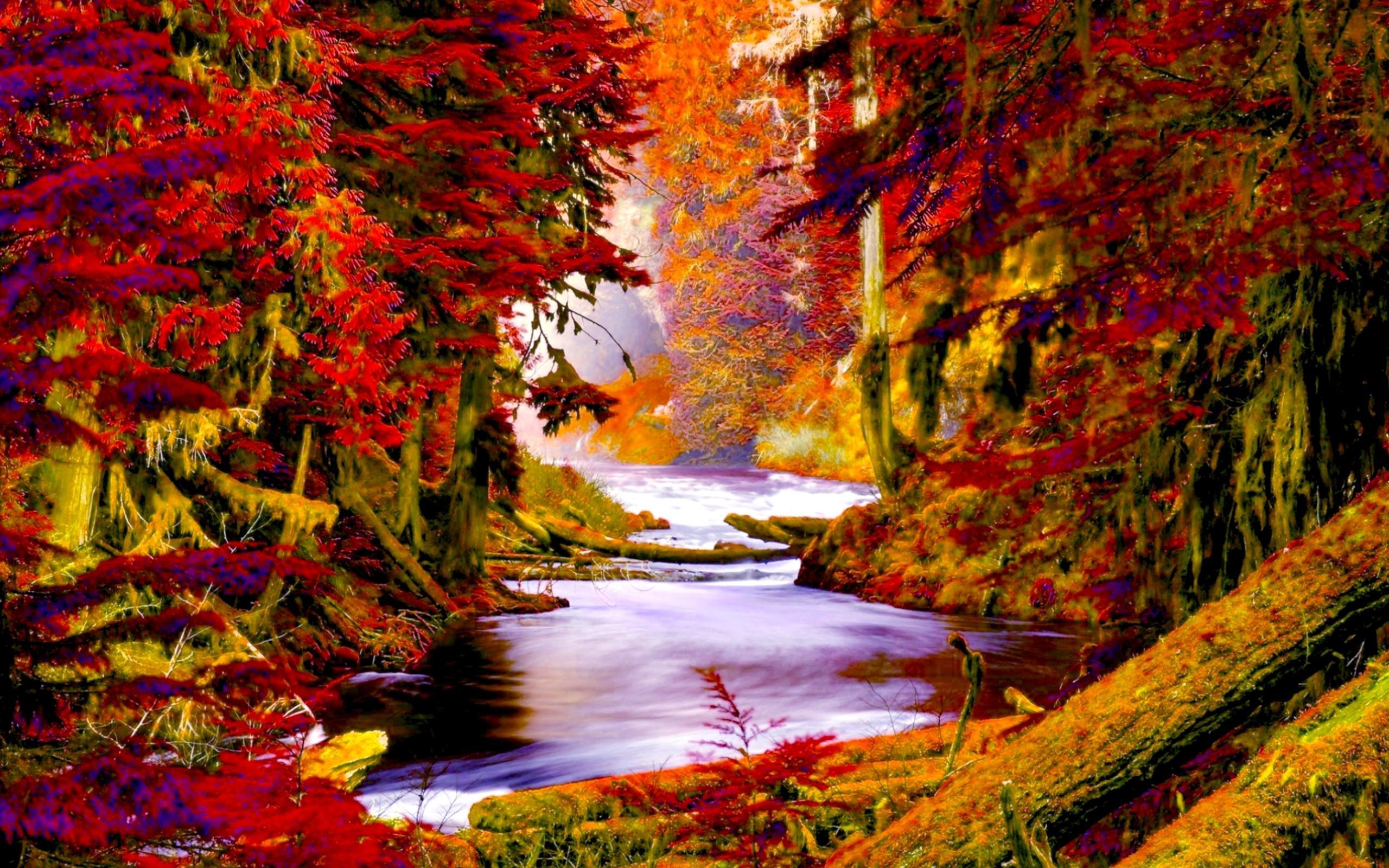 Autumn Forest Creek Wide Wallpaper 503570, Wallpaper13.com
