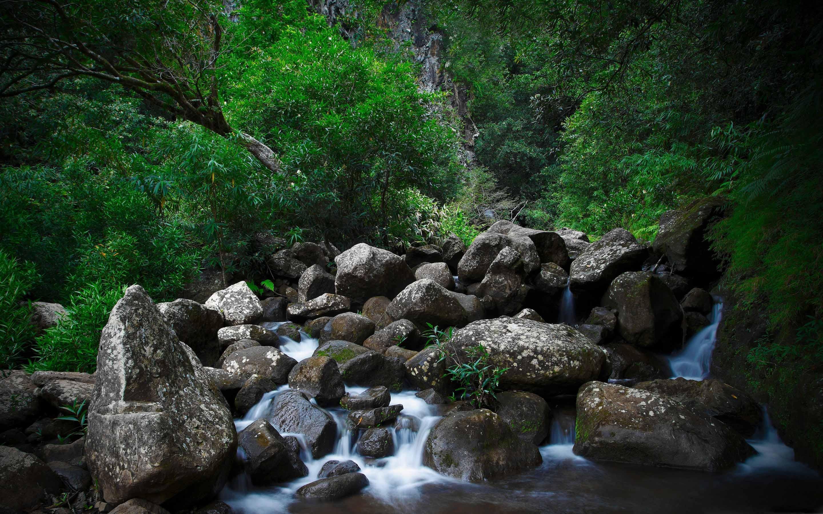 Rocky Forest Creek Mac Wallpaper Download. Free Mac