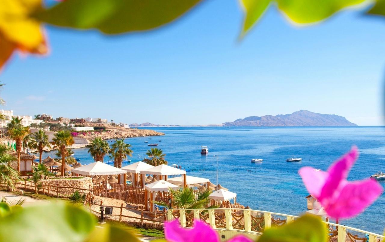 Egypt Beach Resort wallpaper. Egypt Beach Resort