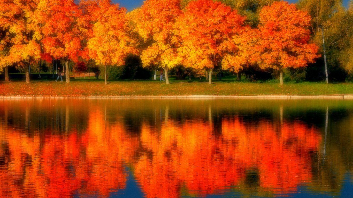 Autumn Fall Colors Gold Nature Reflection Water Trees