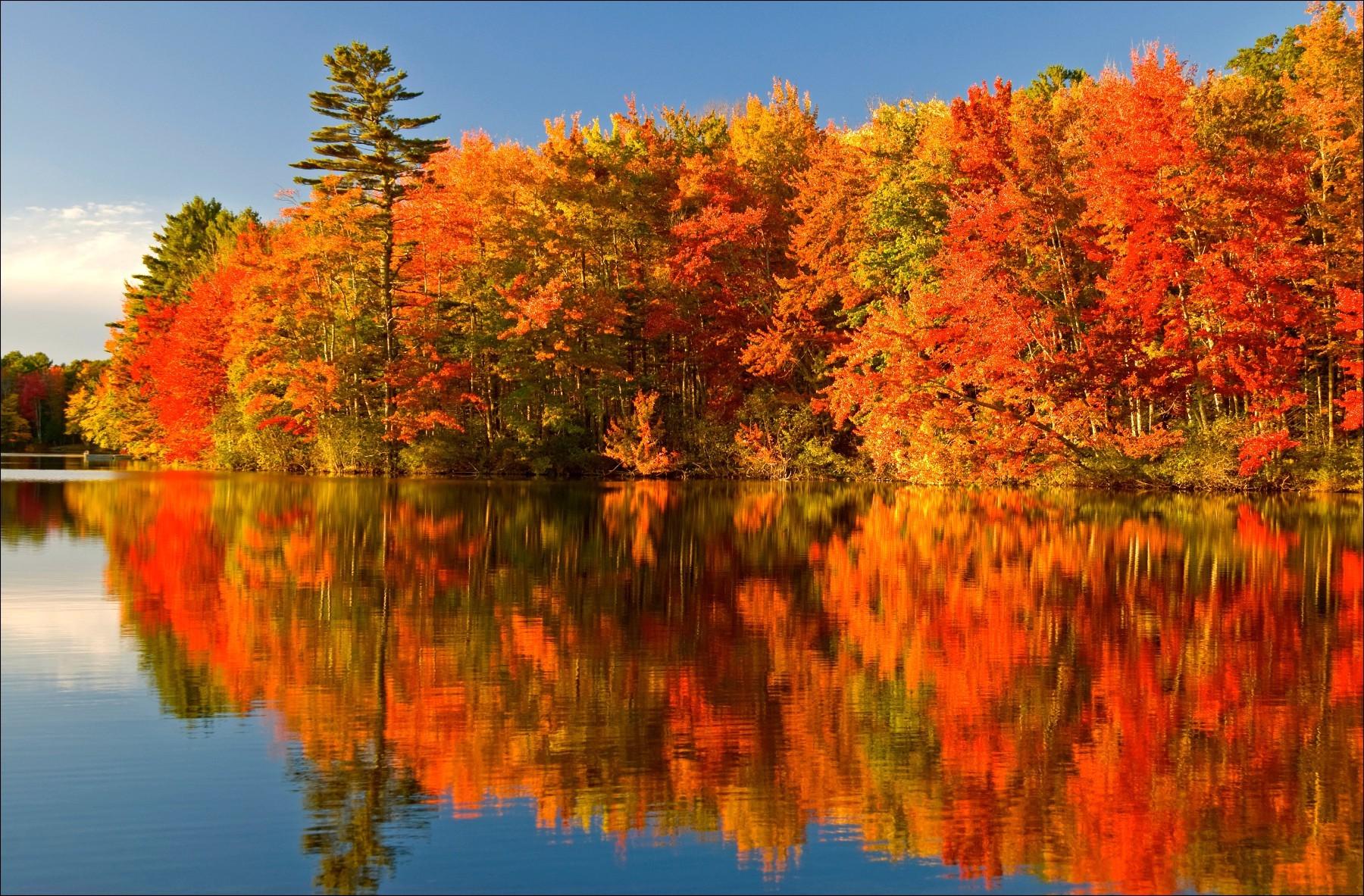 Other, Autumn, Colours, Algonquin, Park, Ontario, Reflection, Lake, Colors, Water, Trees, Leaves, Background, Image, HD Wallpaper, Amazing