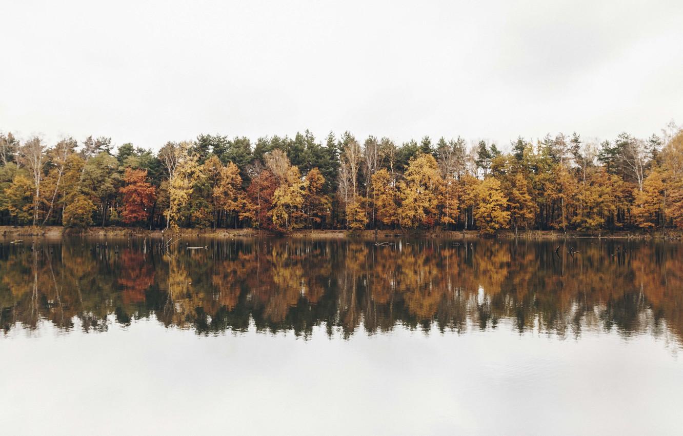 Wallpaper autumn, reflection, fall, cloudy, riverside, fall