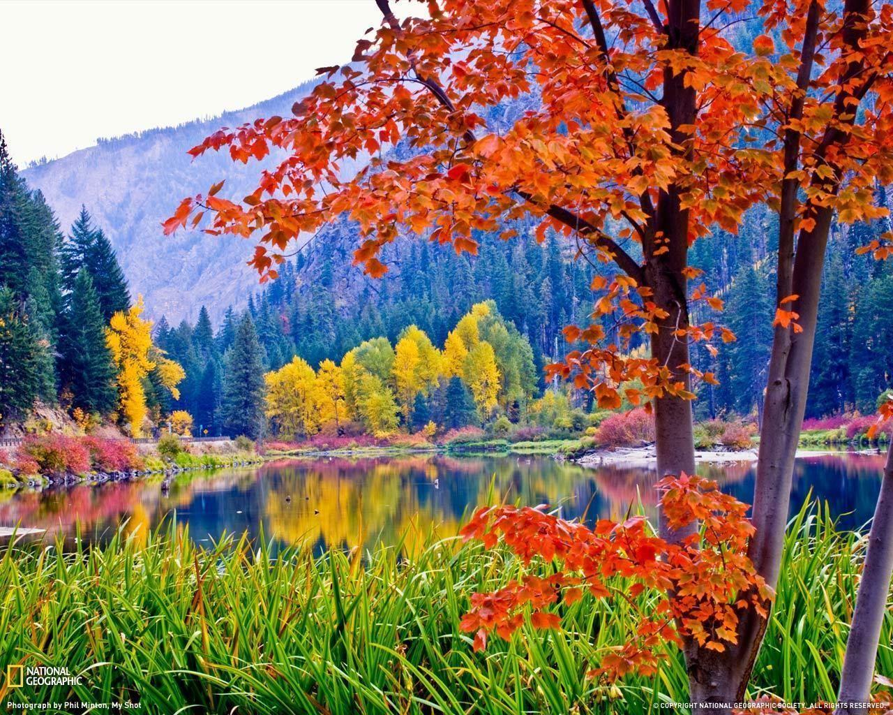 Colorful Fall Landscapes. Fall Colors Wallpaper Background