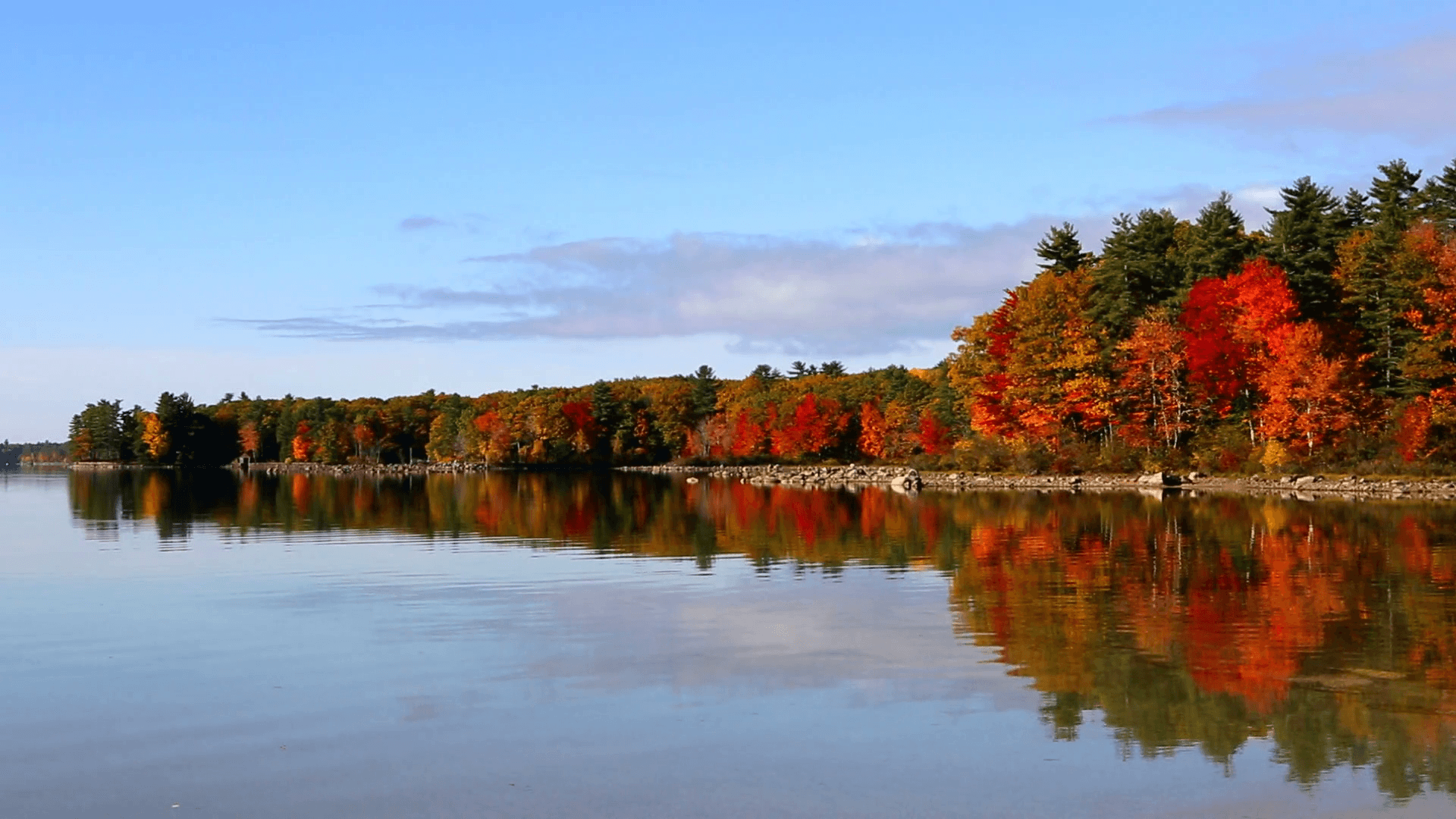 Autumn fall trees reflect fall foliage colors on Lake Sabago, Maine, USA. Stock Video Footage