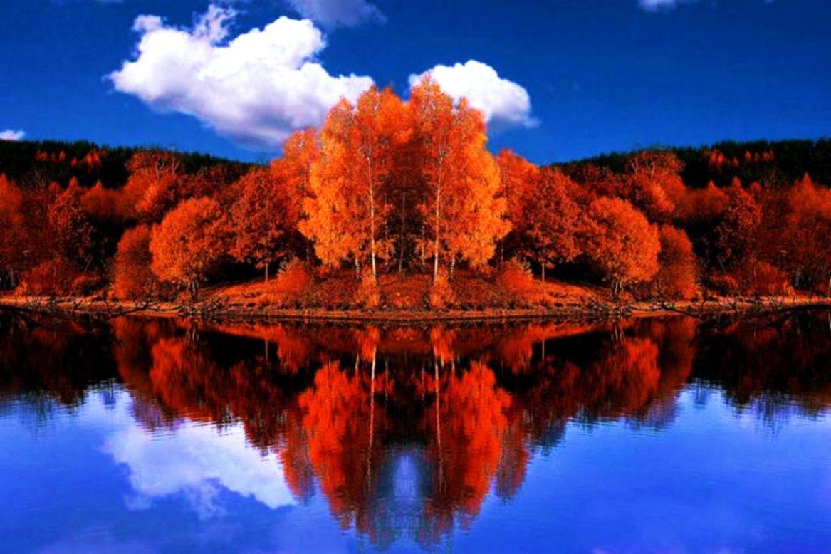 Autumn Reflections Fall Trees Lake Colors HD Wallpaper