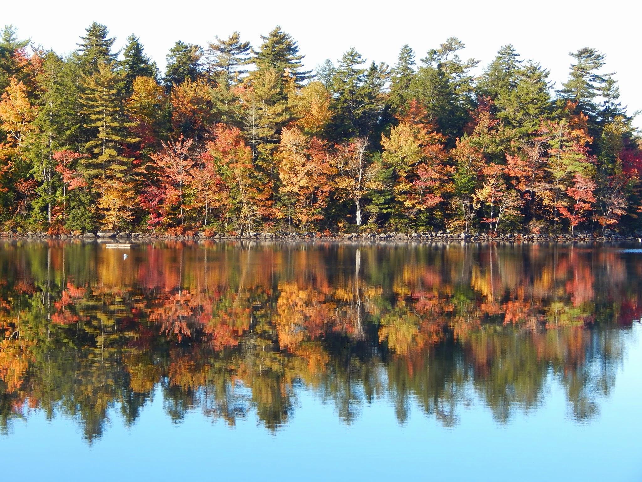 Beautiful Fall Colors Reflected in Still Lake