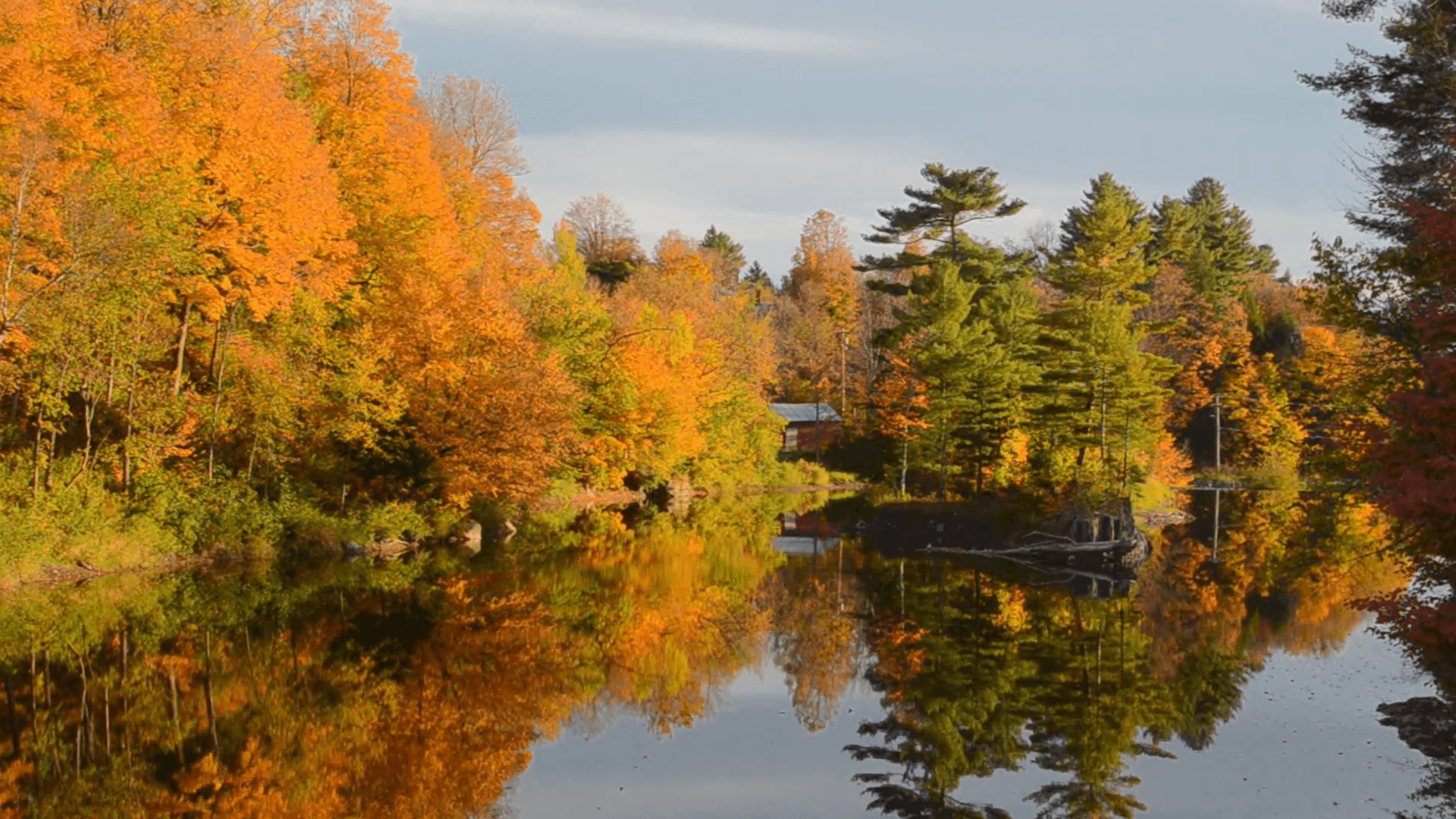 Morrisville Vermont beautiful Lake Lamoille scene with fall foliage colors and reflections and gold leaves Stock Video Footage