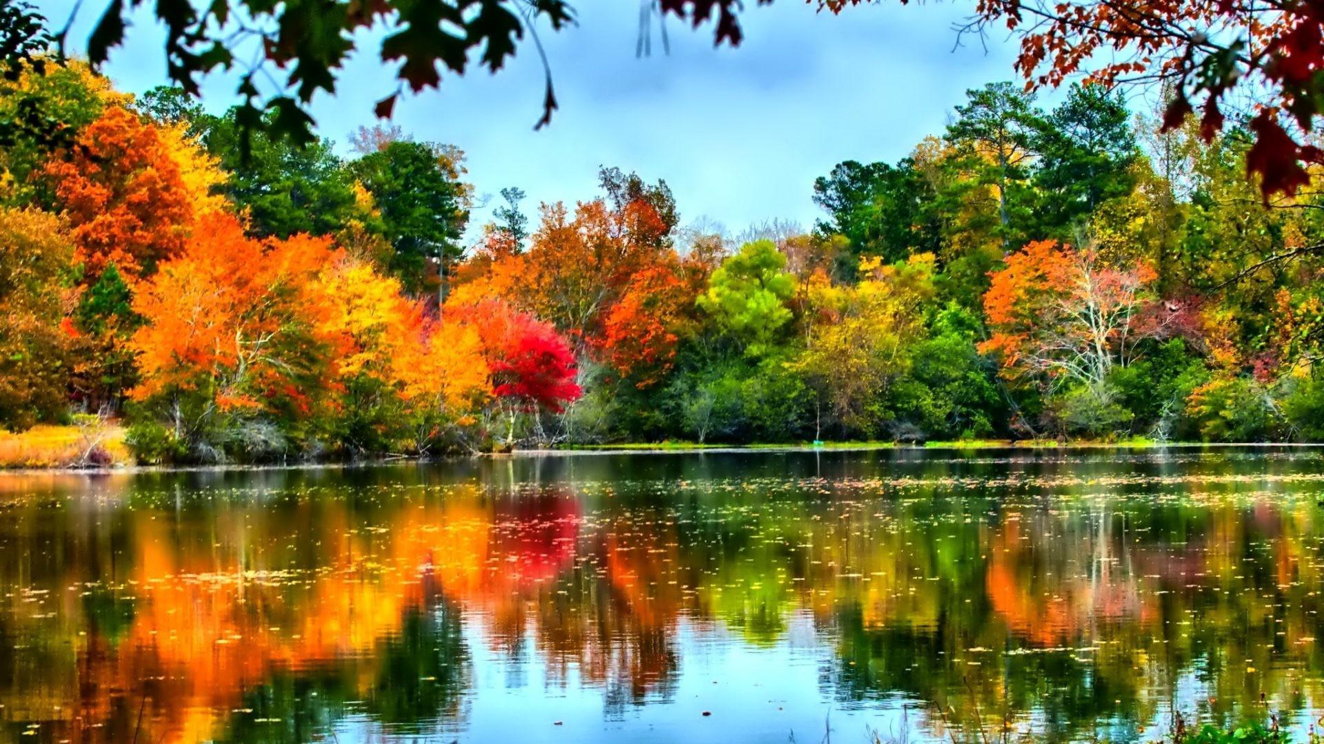 Fall Colors Reflection Wallpapers - Wallpaper Cave
