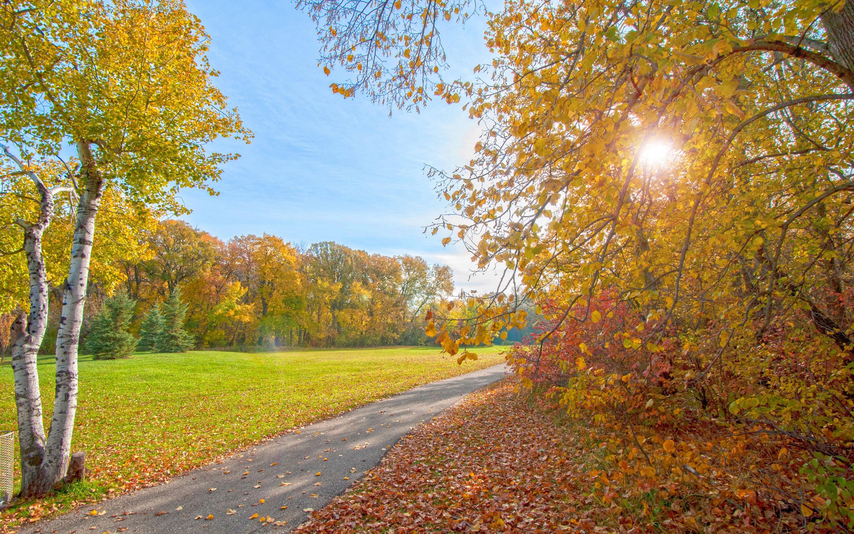 Autumn park, path, trees, sun rays wallpaper. nature and landscape