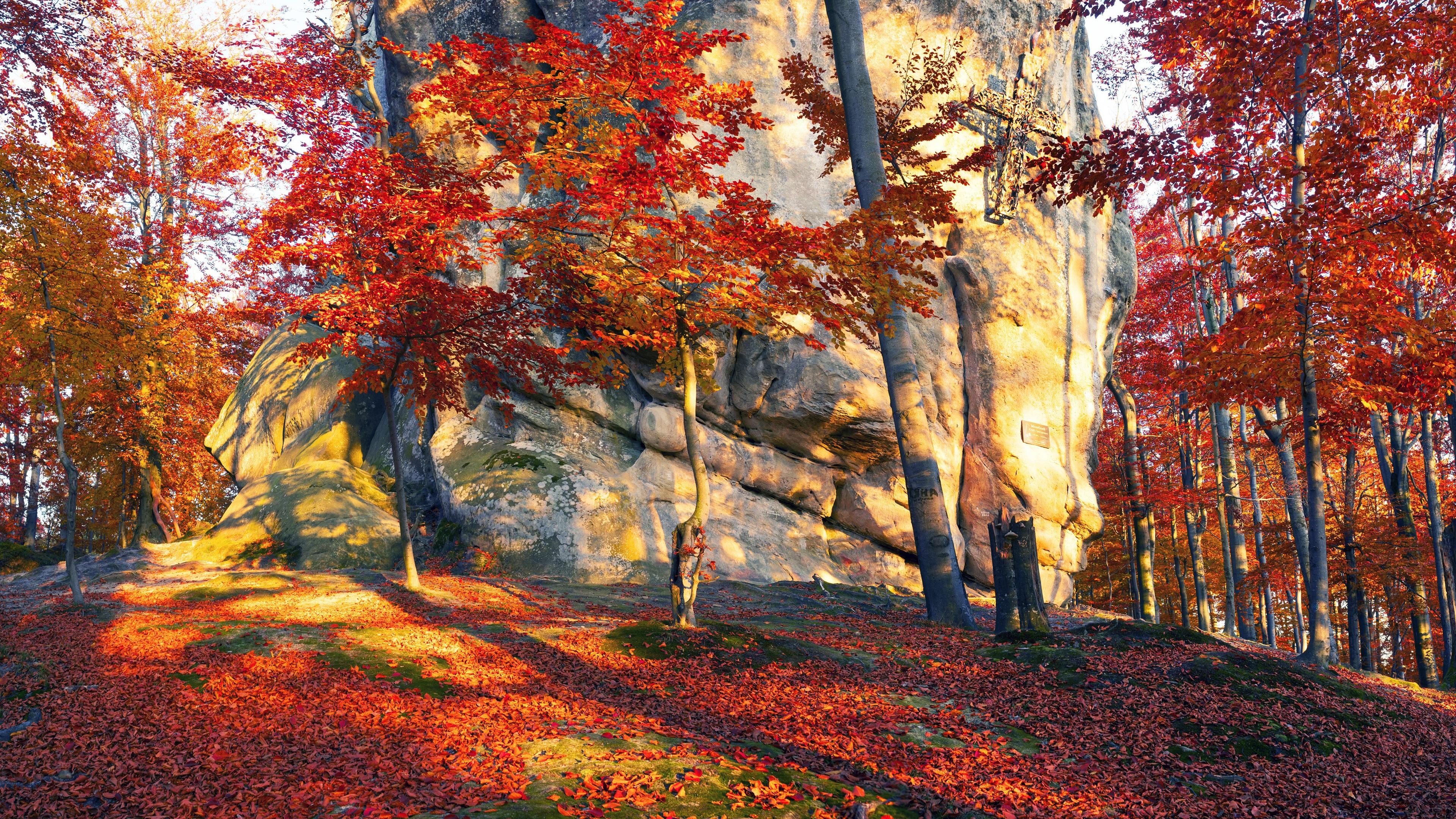 Wallpaper Ukraine, stones, trees, red leaves, autumn, sun rays