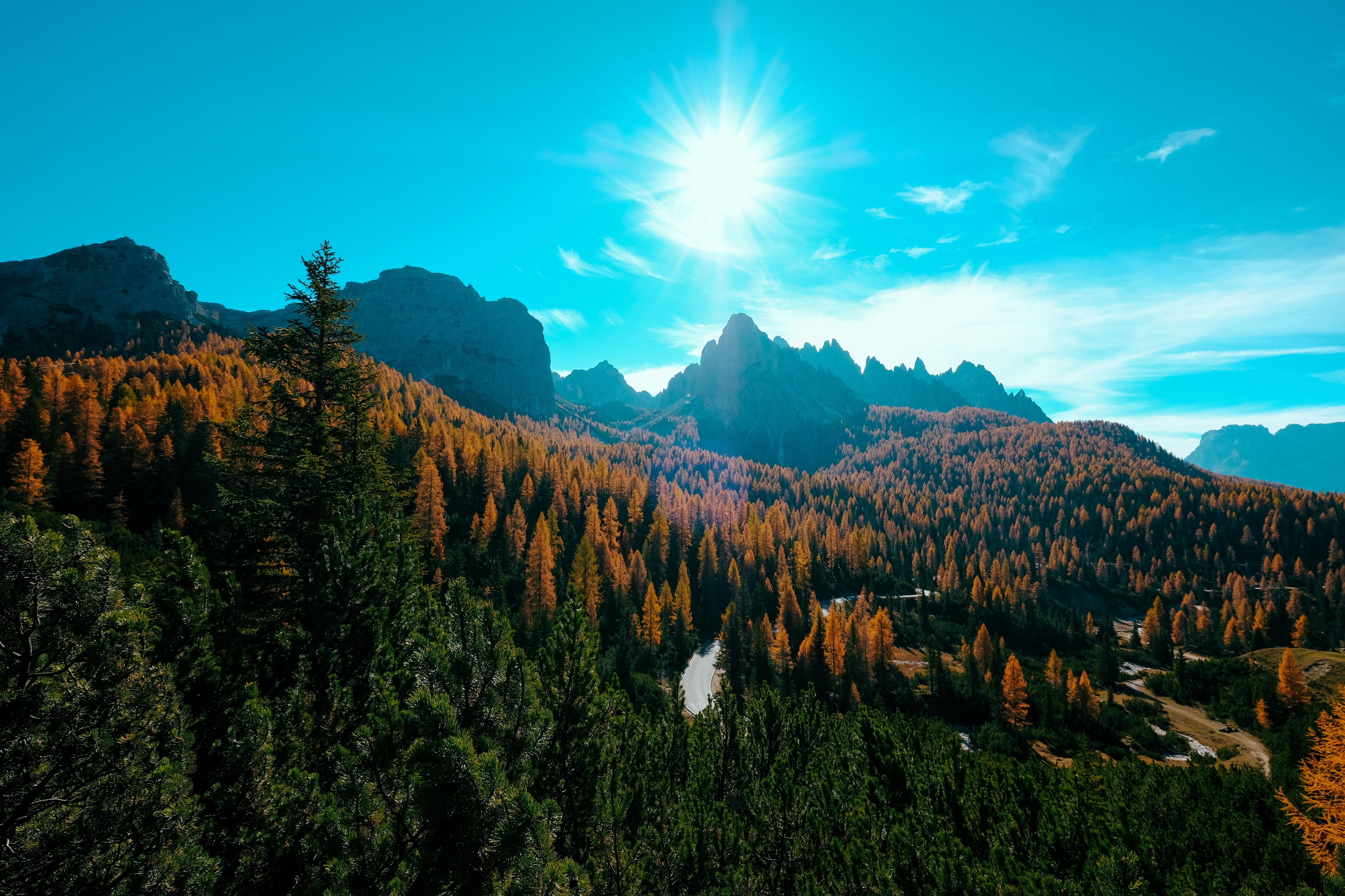 wallpaper mountains, trees, sun, rays, autumn, aerial view HD