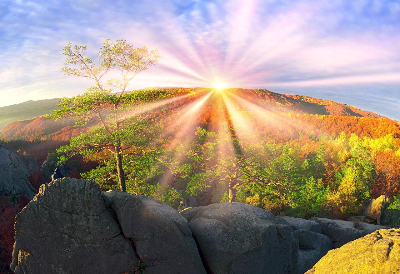 Desktop Wallpaper Rays of light Zakarpattia Ukraine Sun Autumn