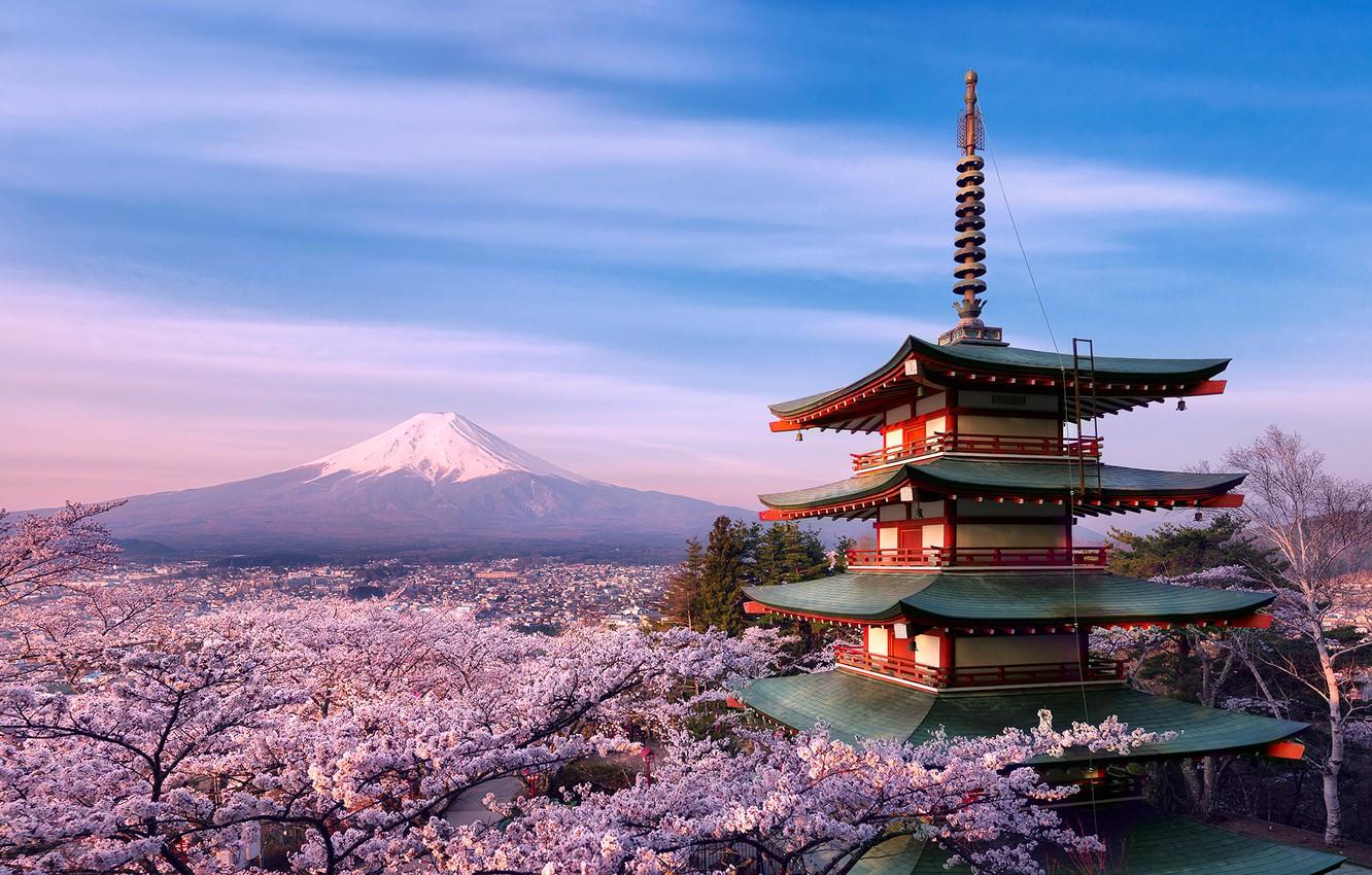 Wallpaper trees, flowers, house, mountain, spring, morning, Japan, Sakura, April, pagoda, architecture, Fuji, stratovolcano, Mount Fuji, Zhong practice continued whenever danger Tower image for desktop, section пейзажи