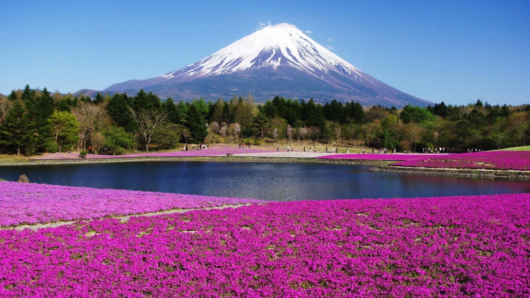 Japan Mount Fuji 2019 HD Desktop Wallpaper