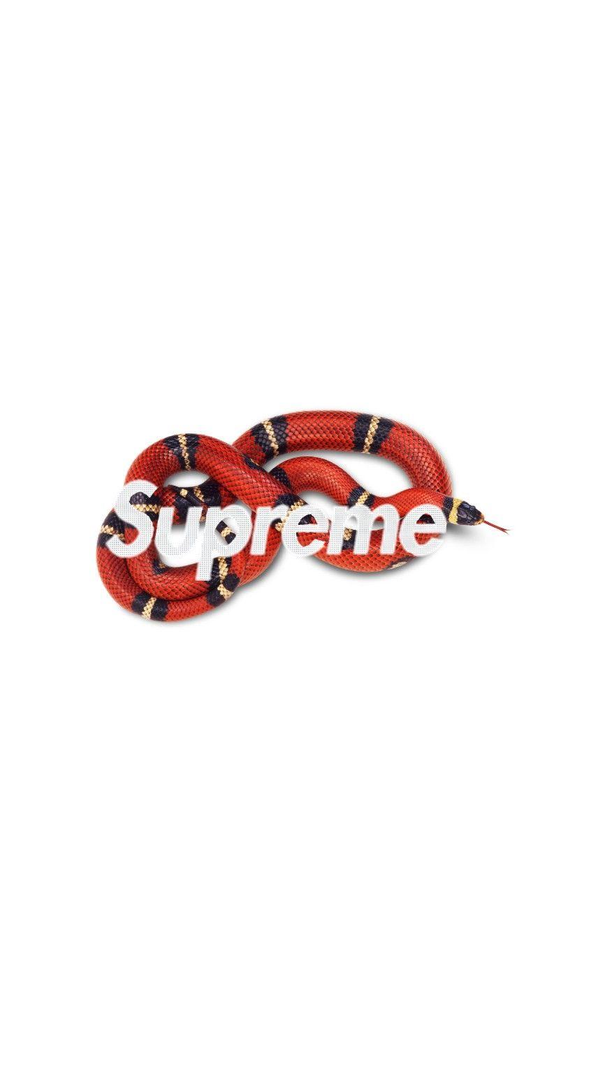 supreme x gucci logo