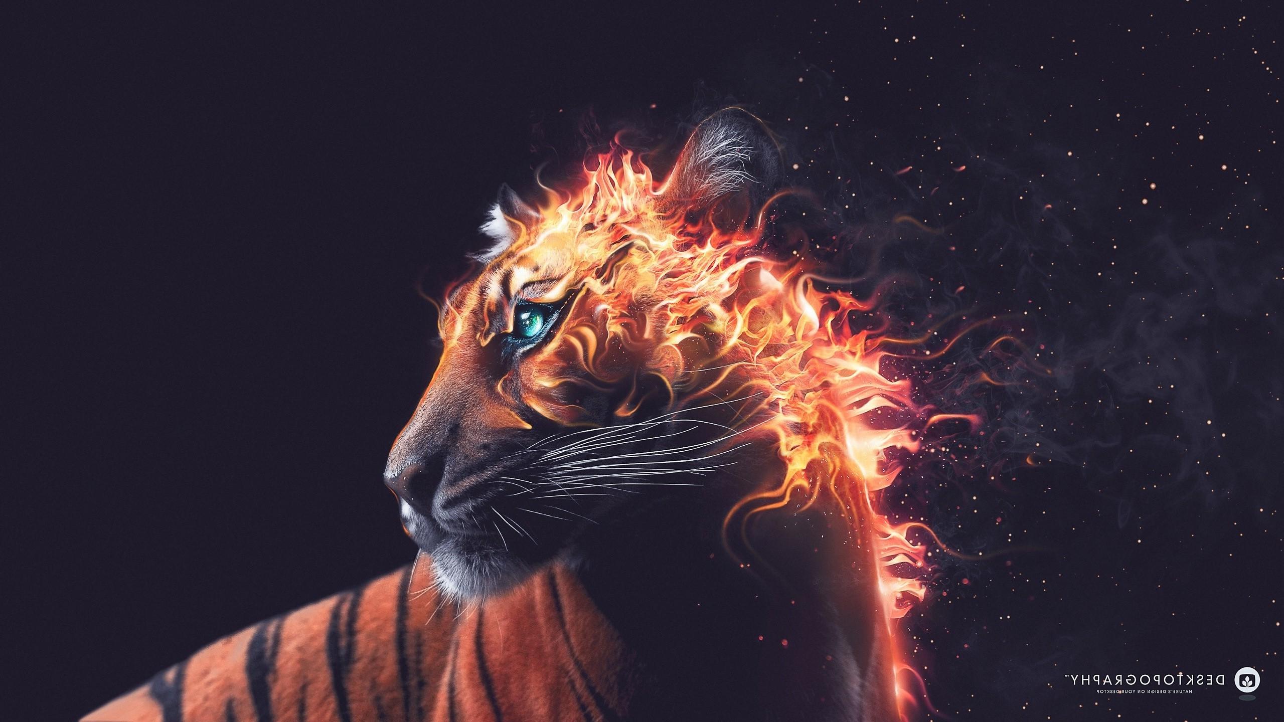 desktopography fire artwork animals digital art