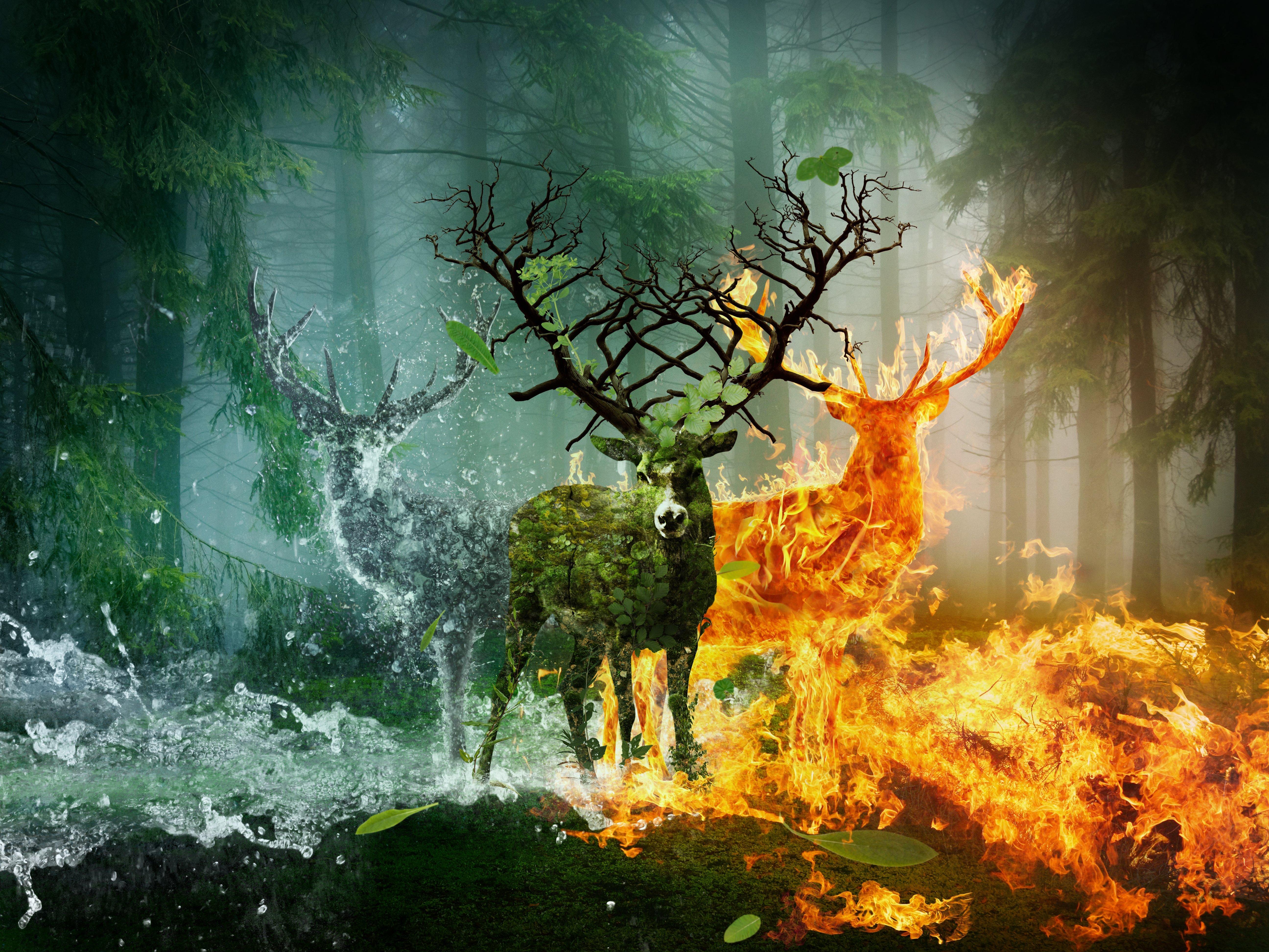 deer, Fire, Water, Horns, Earth, Fantasy, Animals, Wallpaper