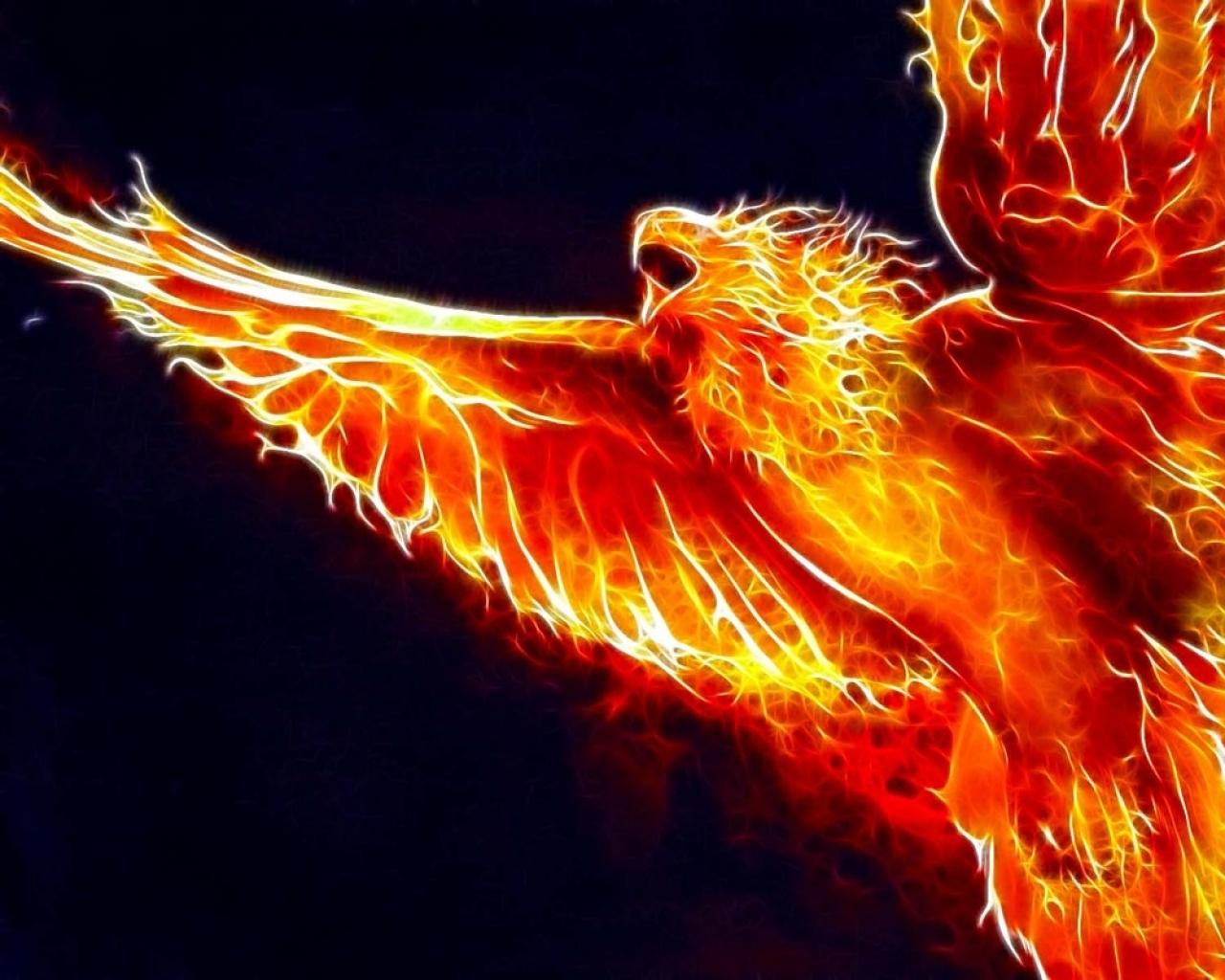 Free download birds fire phoenix fractalius 1280x800 wallpaper