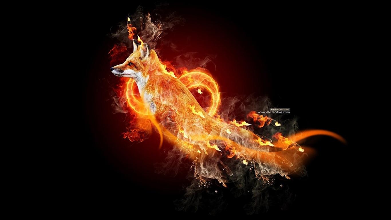 Picture Foxes Flame Creative Animals 1366x768
