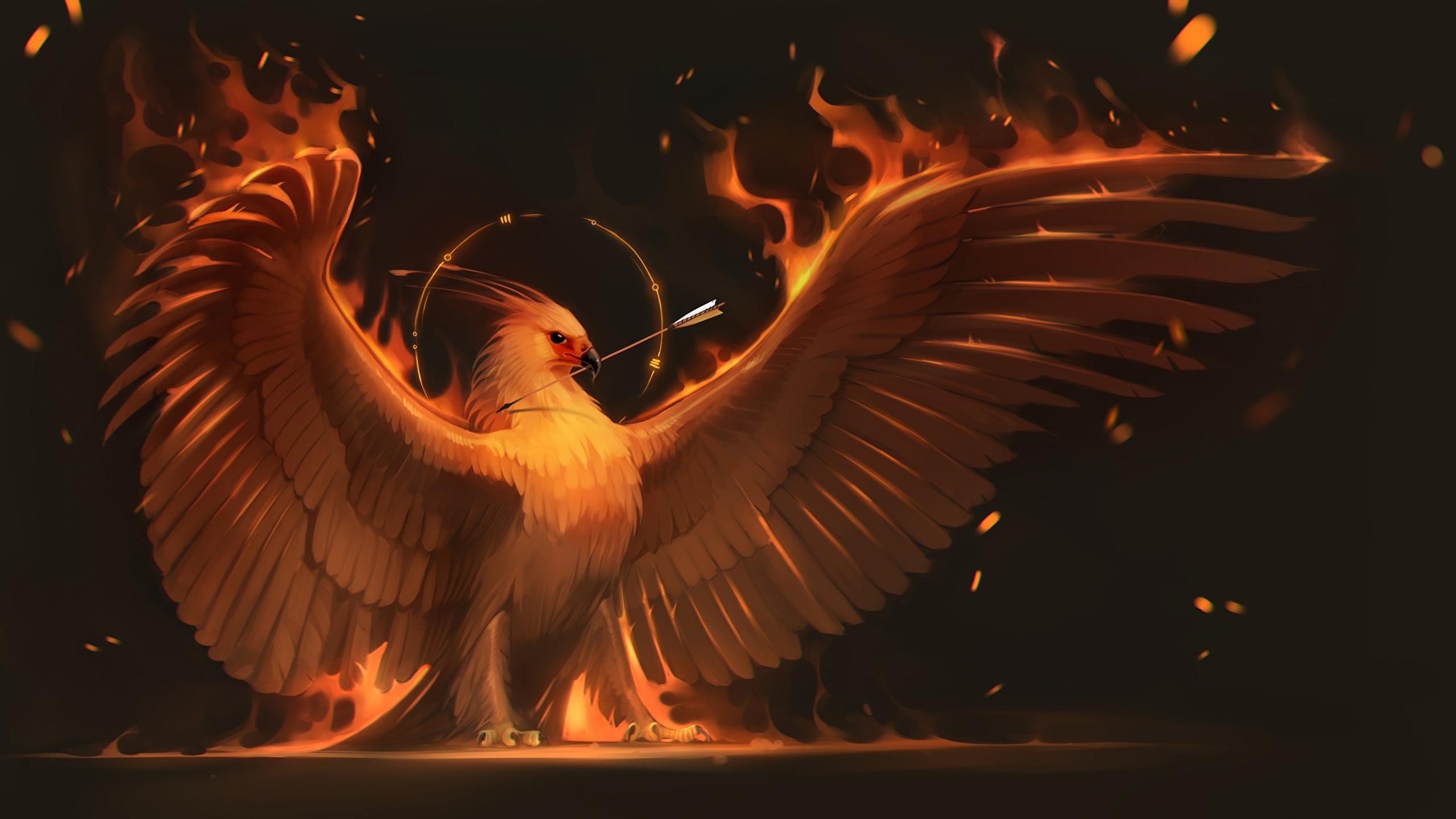 Wallpaper Birds Phoenix mythology Wings Fantasy Flame 2560x1440