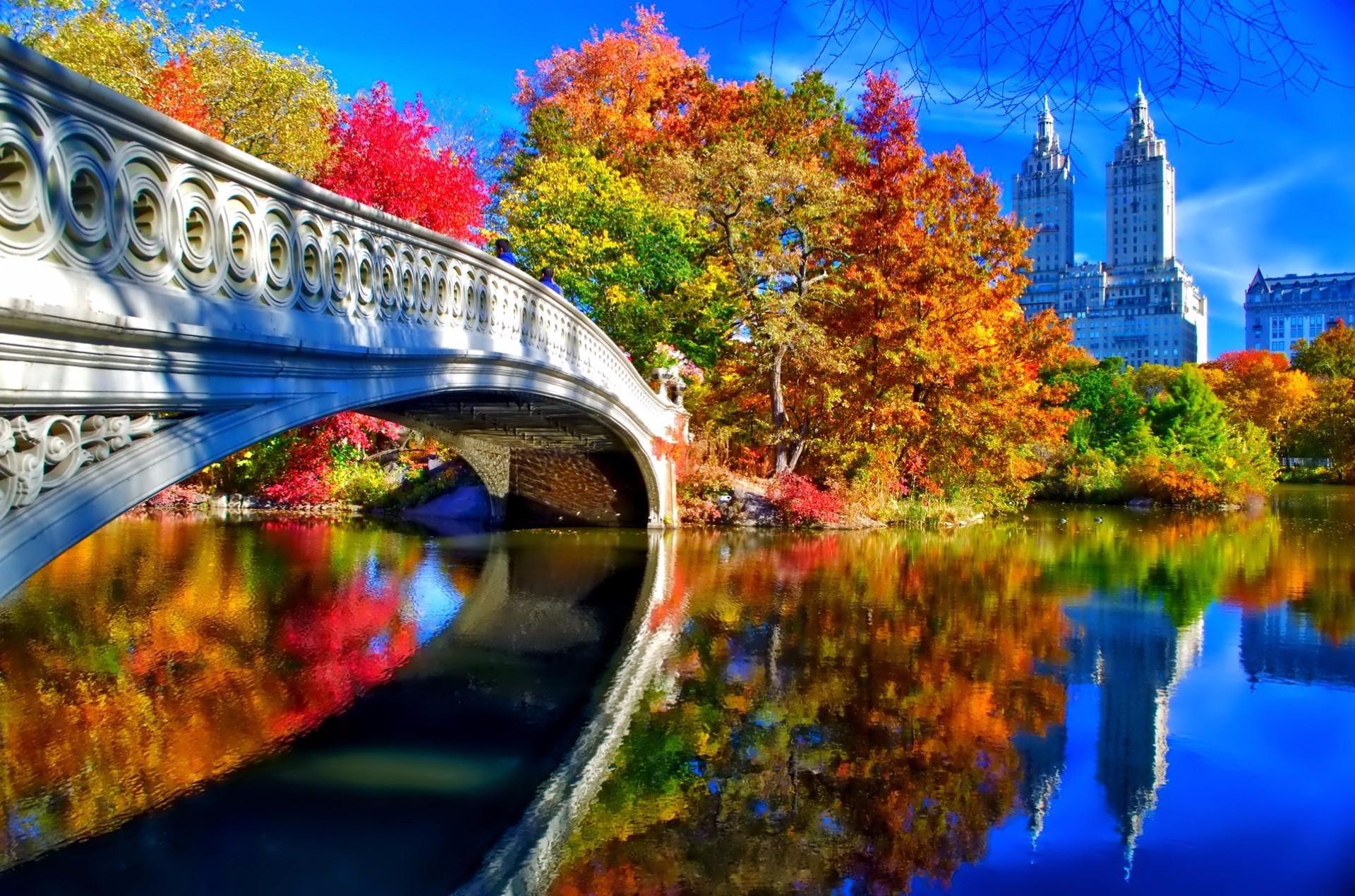 Autumn in Central Park in New York HD Wallpaper