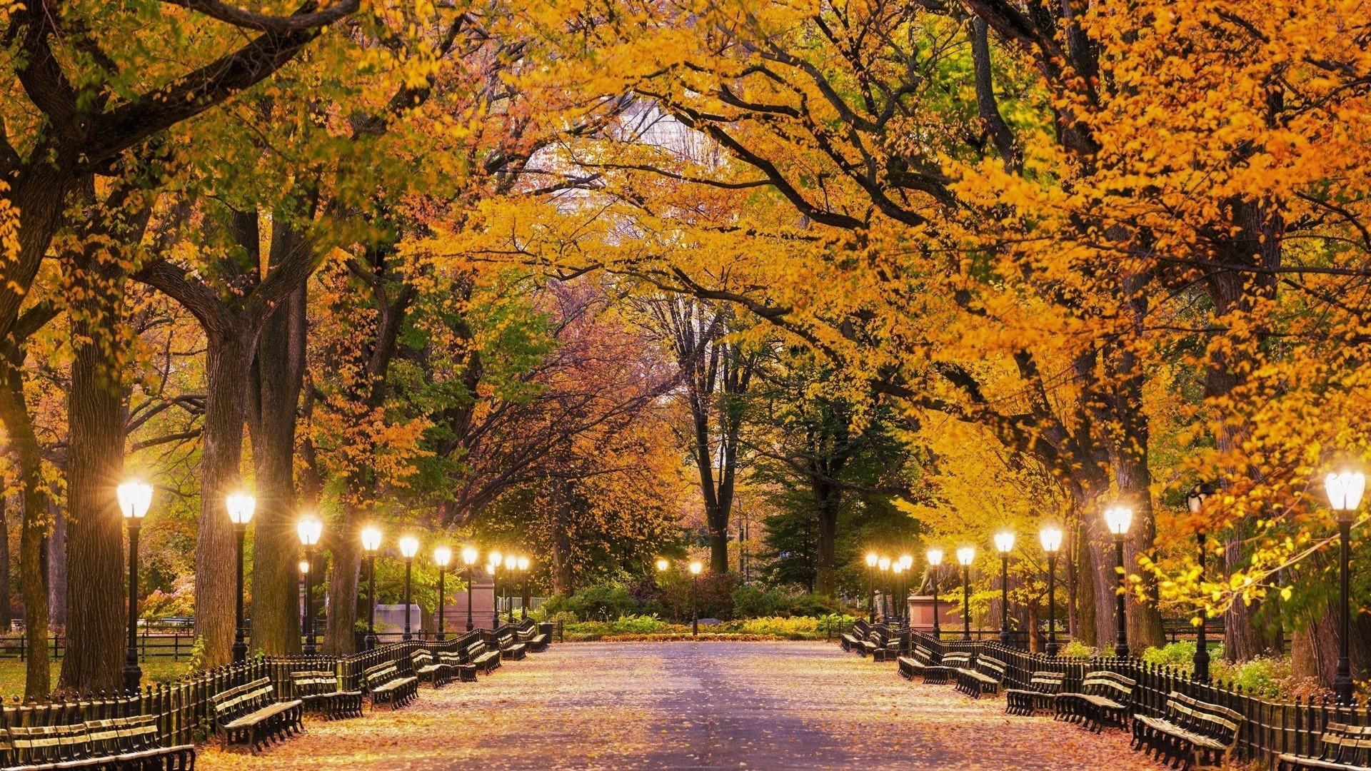 Central Park in Autumn HD Wallpaper. Background Image