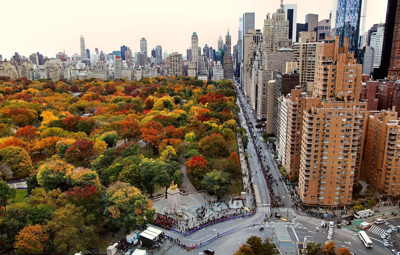 Wallpaper city, sport, USA, road, trees, New York, Manhattan