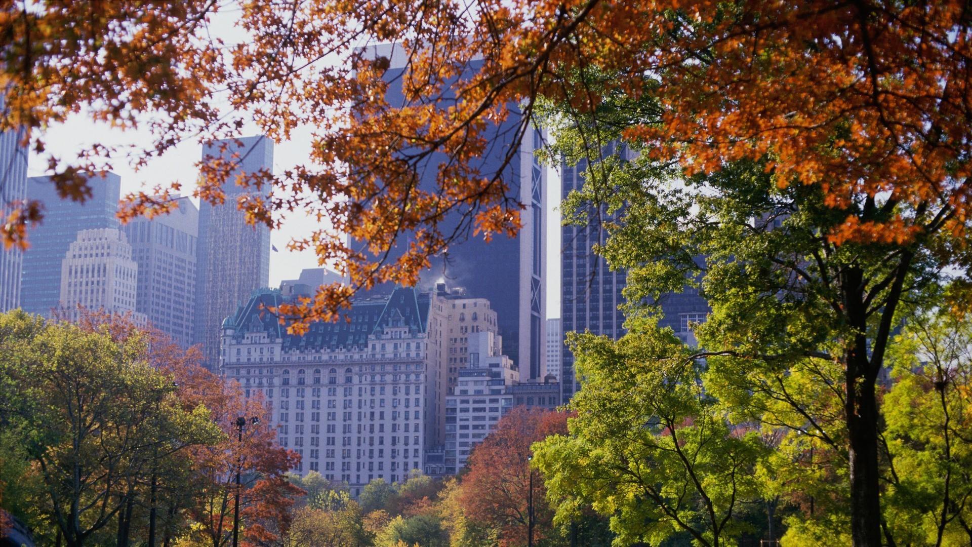 Autumn Central Park New York Wallpapers - Wallpaper Cave