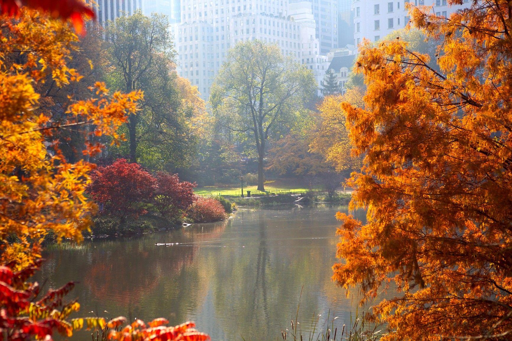 Central Park Fall Desktop Wallpaper