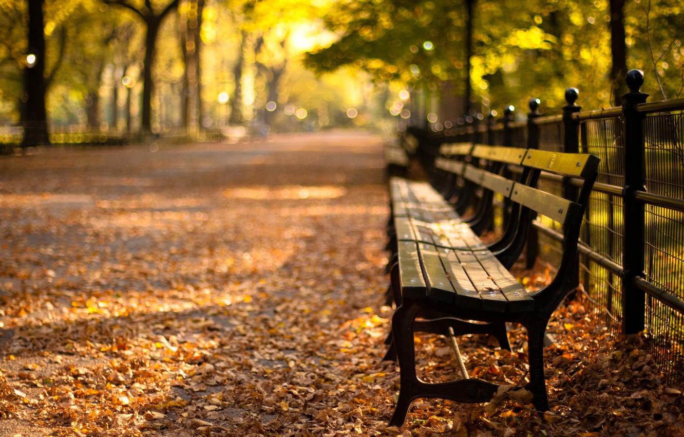Wallpaper sunset, Park, new York, sunset, new york, autumn, Central Park image for desktop, section город