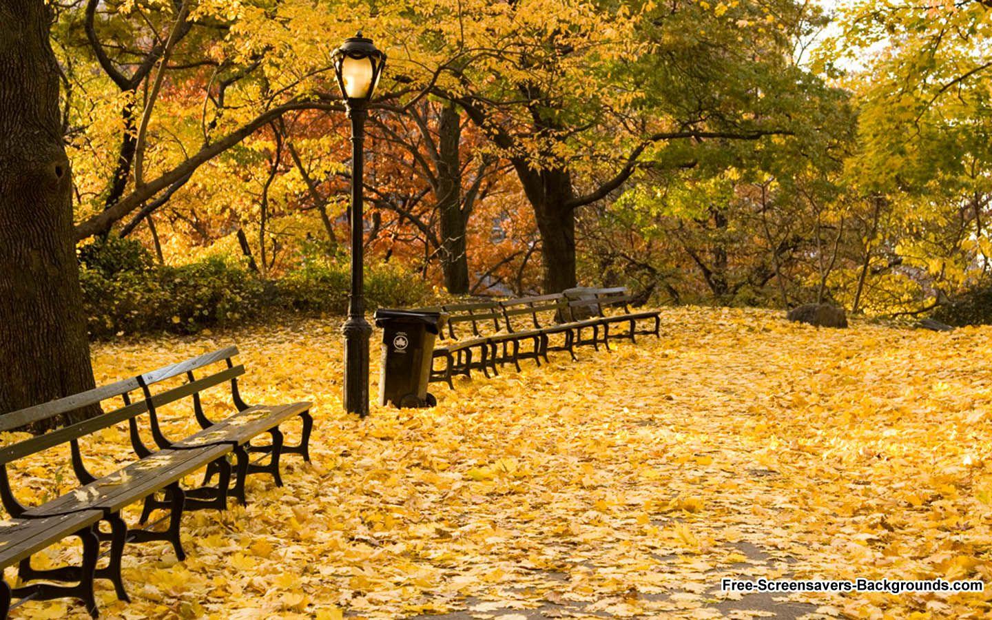 Autumn Central Park Wallpapers - Wallpaper Cave